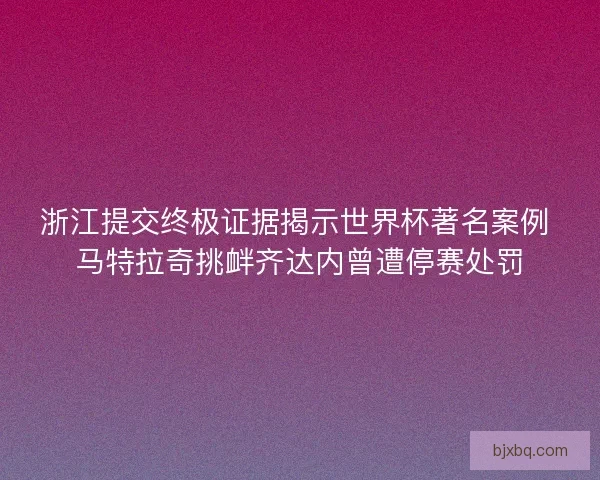 浙江提交终极证据揭示世界杯著名案例 马特拉奇挑衅齐达内曾遭停赛处罚